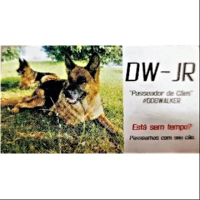 Dogwalker JR