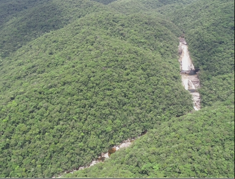 MPSC na linha de frente pela preservação ambiental em Santa Catarina